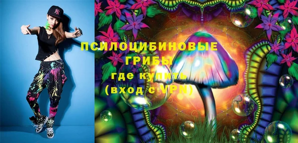 ГАЛЛЮЦИНОГЕННЫЕ ГРИБЫ Армянск